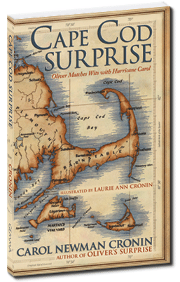 Cape Cod Surprise Cover